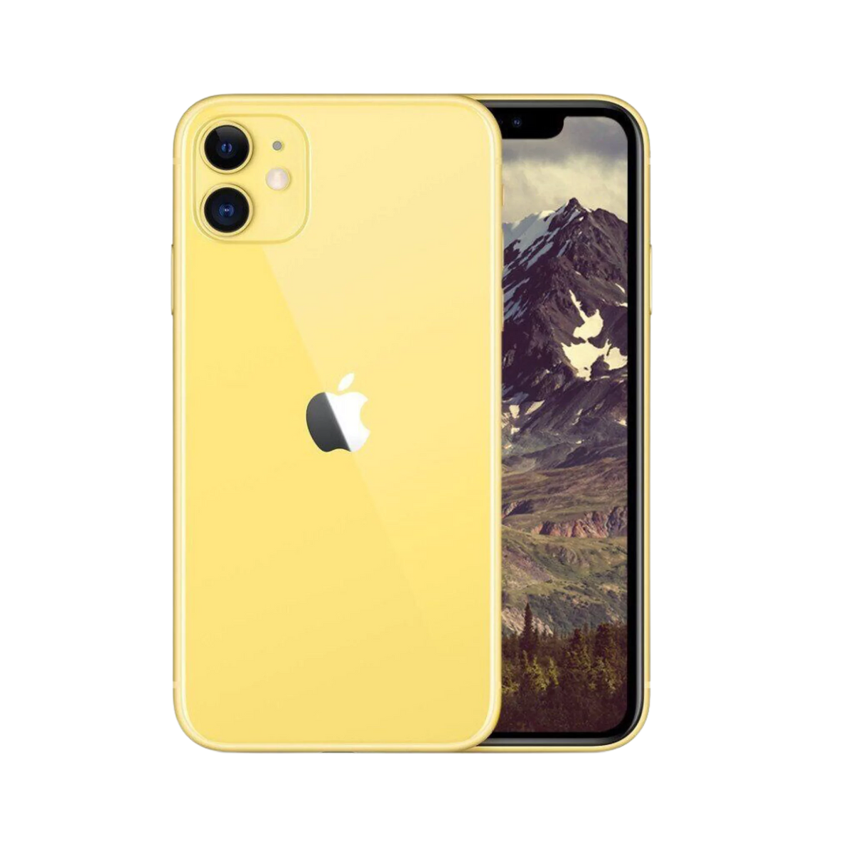 iPhone 11