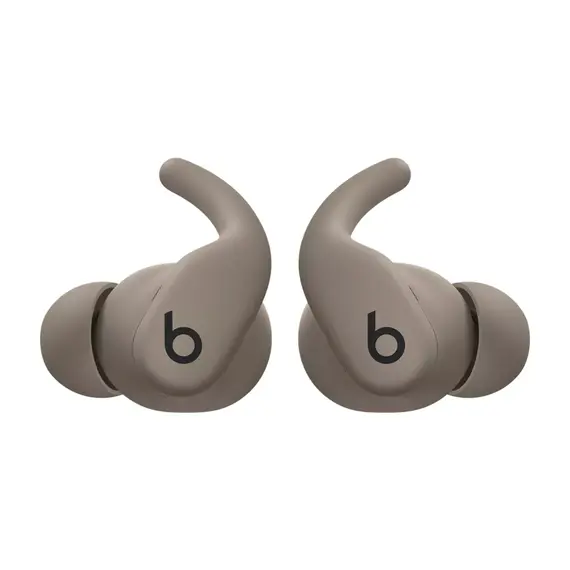 Beats Powerbeats Fit True Wireless Earbuds in Grey colour
