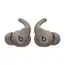 Beats Powerbeats Fit True Wireless Earbuds in Grey colour