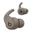 Beats Powerbeats Fit True Wireless Earbuds in Grey colour